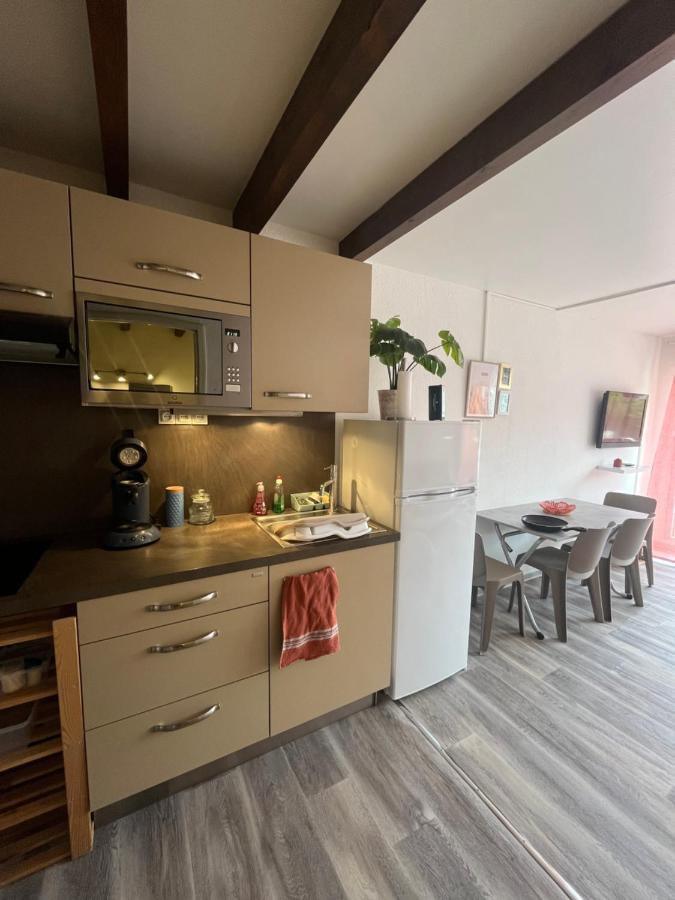 Agréable appartement avec piscine à 500m de la mer Argelès-sur-Mer Extérieur photo